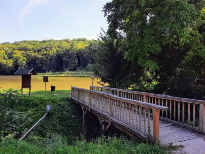 A somogyvári Széchenyi-kastély és parkja – időutazás a nemesi múlt árnyas fái alatt