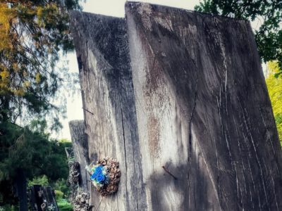 Európa ritkasága: a szatmárcsekei csónakos fejfás temető