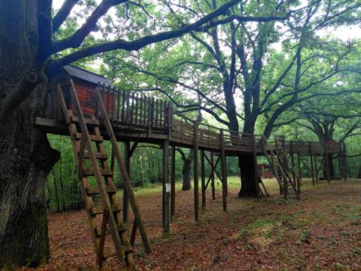 Trizs és a Meseerdő – élmények az Aggteleki-karszt kapujában