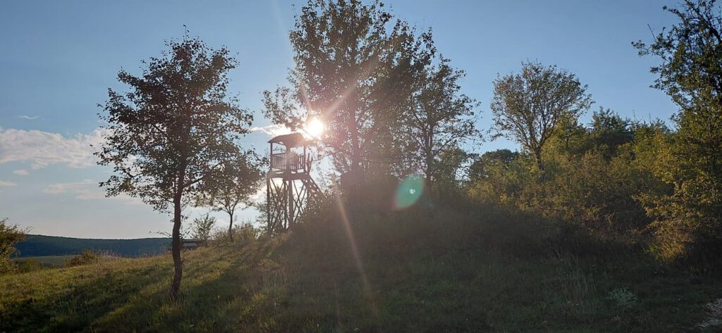 Trizs és a Meseerdő – élmények az Aggteleki-karszt kapujában
