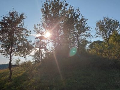 Trizs és a Meseerdő – élmények az Aggteleki-karszt kapujában