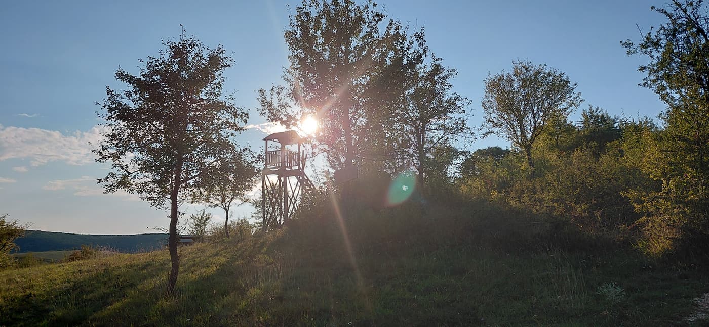 Trizs és a Meseerdő – élmények az Aggteleki-karszt kapujában