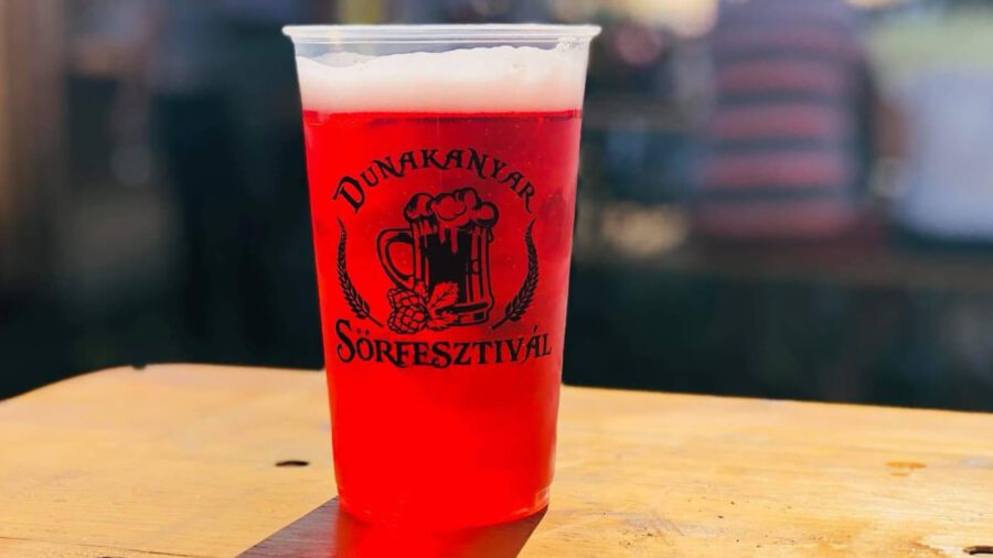 Dunakanyar Sörfesztivál 2025 Vác