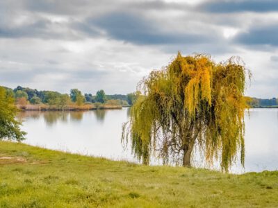 Színesre festette az ősz az Abért-tó környékét