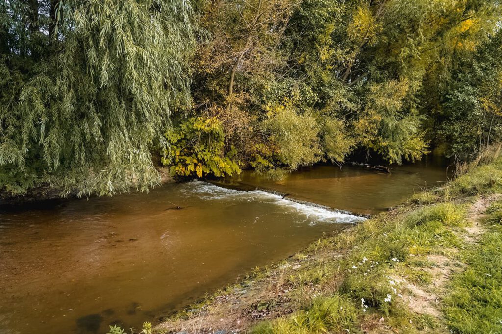 Színesre festette az ősz az Abért-tó környékét