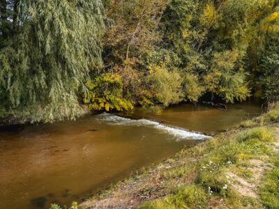 Színesre festette az ősz az Abért-tó környékét
