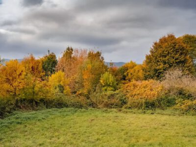 Színesre festette az ősz az Abért-tó környékét