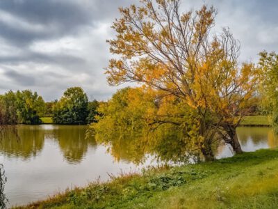 Színesre festette az ősz az Abért-tó környékét