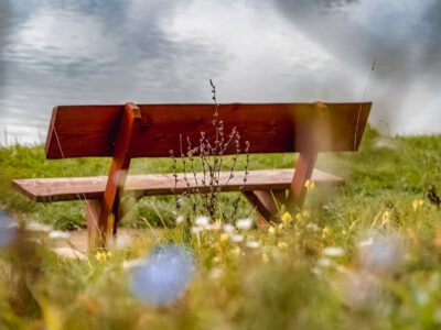 Színesre festette az ősz az Abért-tó környékét