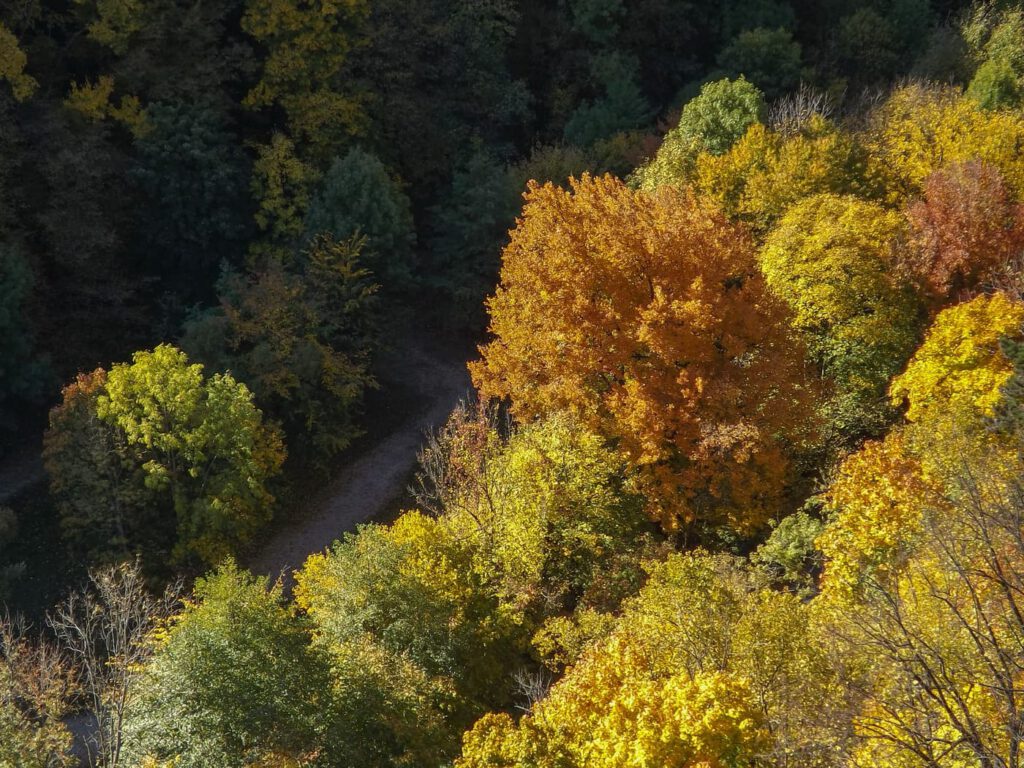 A Szinva-völgy őre – a legendás Molnár-szikla Alsóhámor felett
