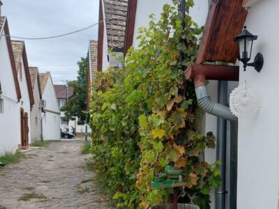 Sárgödör tér – Paks óvárosának pincefaluja és a híres siller otthona