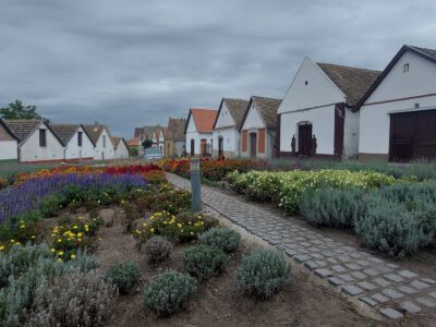 Sárgödör tér – Paks óvárosának pincefaluja és a híres siller otthona