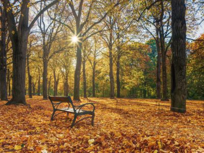 Aranyló őszi fényben Gödöllő Erzsébet-parkja