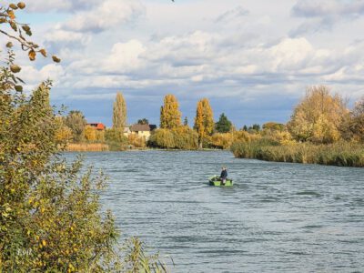 A szigetszentmiklósi Úszóláp tanösvény varázslatos világa