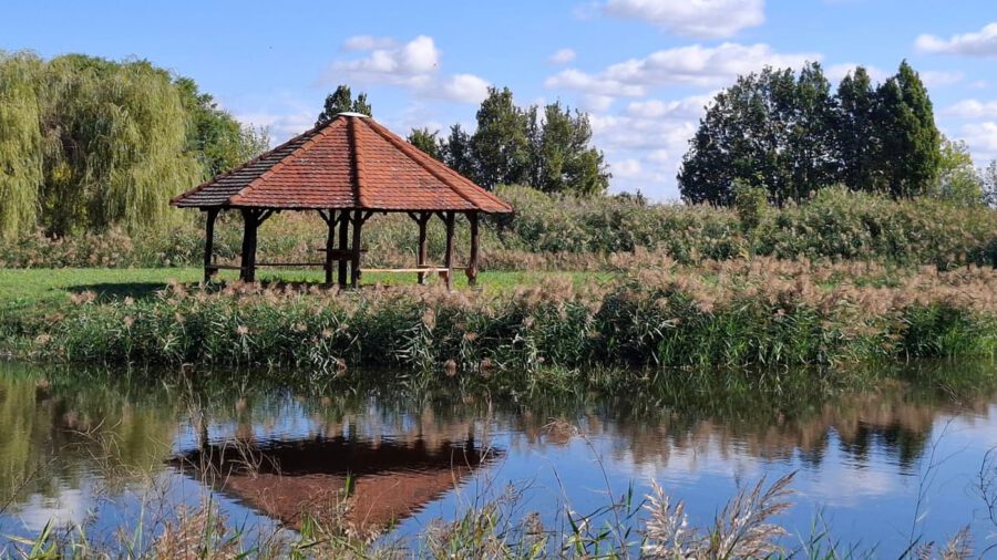 Egy grófi álom öröksége – a Tiszakürti Arborétum titkai