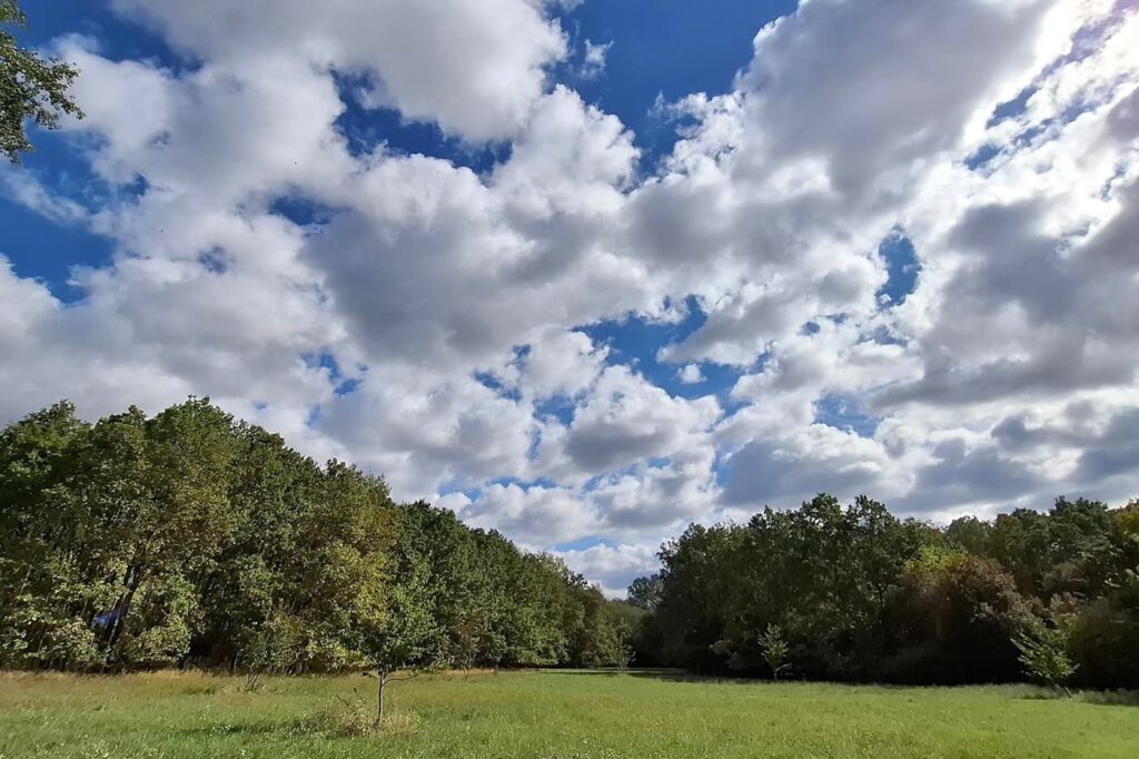 Egy grófi álom öröksége – a Tiszakürti Arborétum titkai