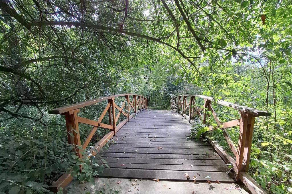 Egy grófi álom öröksége – a Tiszakürti Arborétum titkai