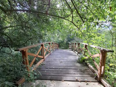 Egy grófi álom öröksége – a Tiszakürti Arborétum titkai