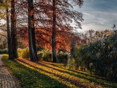 Az ősz legszebb arcát mutatja a Csónakázó-tó Sárváron