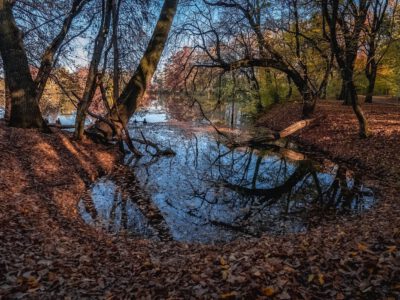 Az ősz legszebb arcát mutatja a Csónakázó-tó Sárváron
