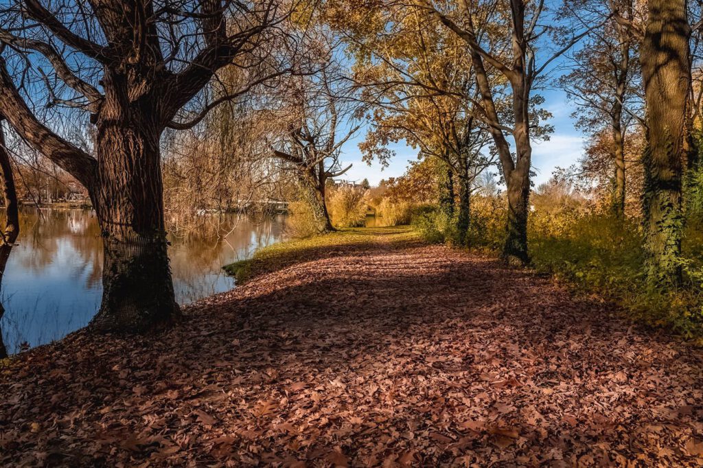Az ősz legszebb arcát mutatja a Csónakázó-tó Sárváron