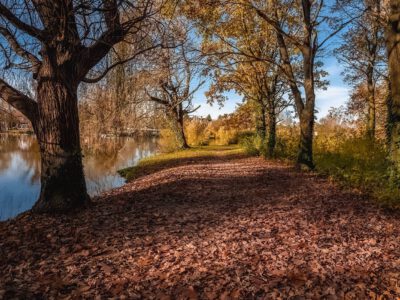 Az ősz legszebb arcát mutatja a Csónakázó-tó Sárváron