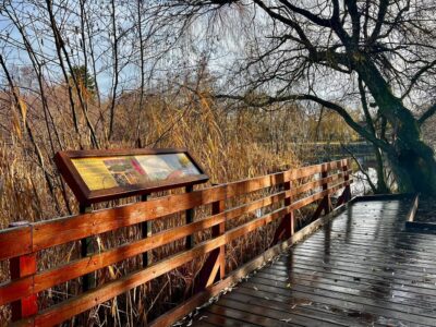 Tó a hegyek között: a Sástó téli arca
