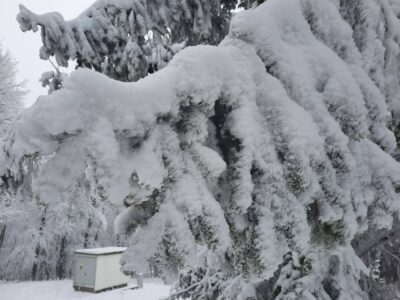 Hólepel borítja Magyarország tetejét: Kékestető télen