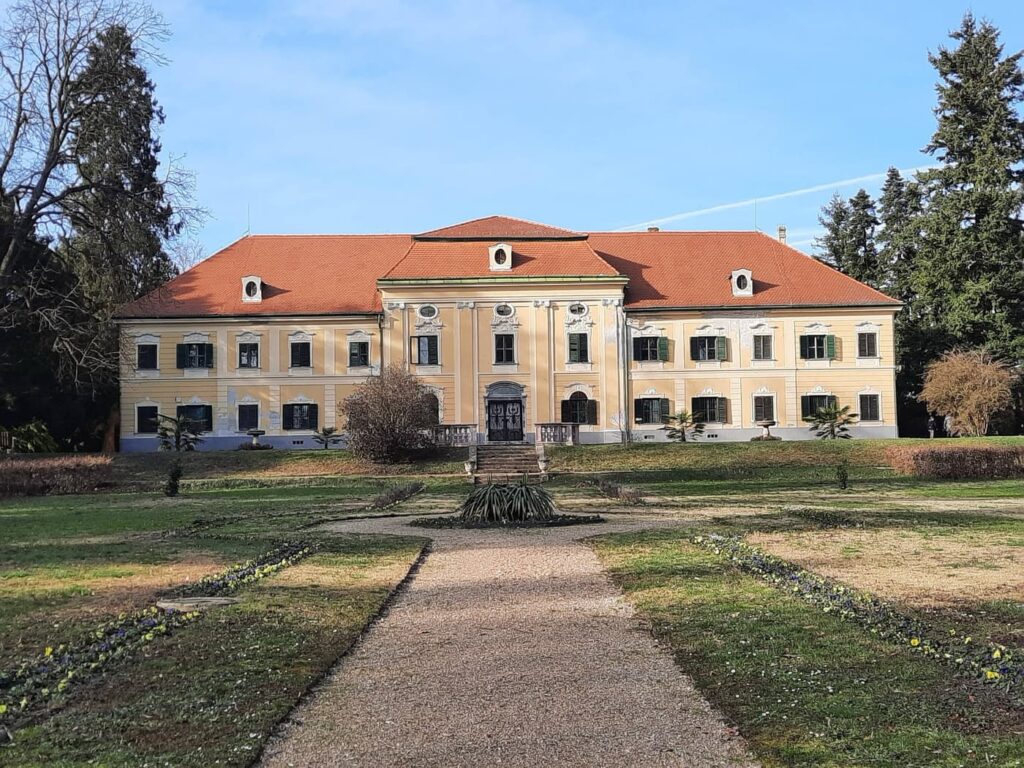 Sellyei Arborétum: kastélypark az Ormánságban, ahol a tavasz lila szőnyeggel érkezik