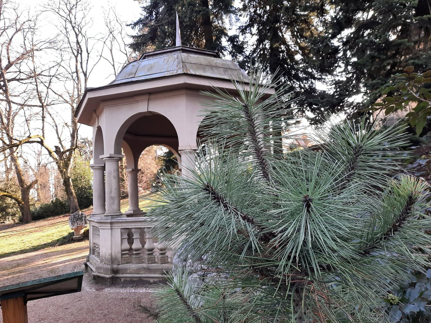 Sellyei Arborétum: kastélypark az Ormánságban, ahol a tavasz lila szőnyeggel érkezik