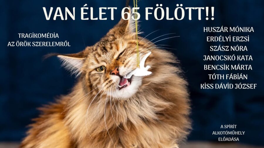 Van élet 65 fölött!!! - tragikomédia az örök szerelemről, 2026.02.23.