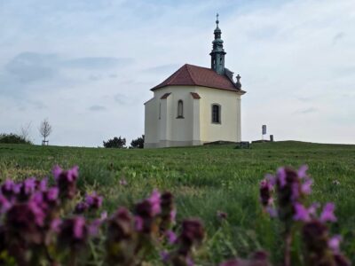 A tatai Kálvária-domb – öt ok, amiért érdemes felmenni