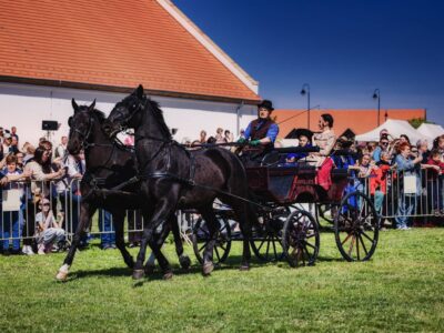 Kihajtási ünnep Hortobágyon: jószágok, pásztorok és hagyományok a Kilenclyukú hídnál