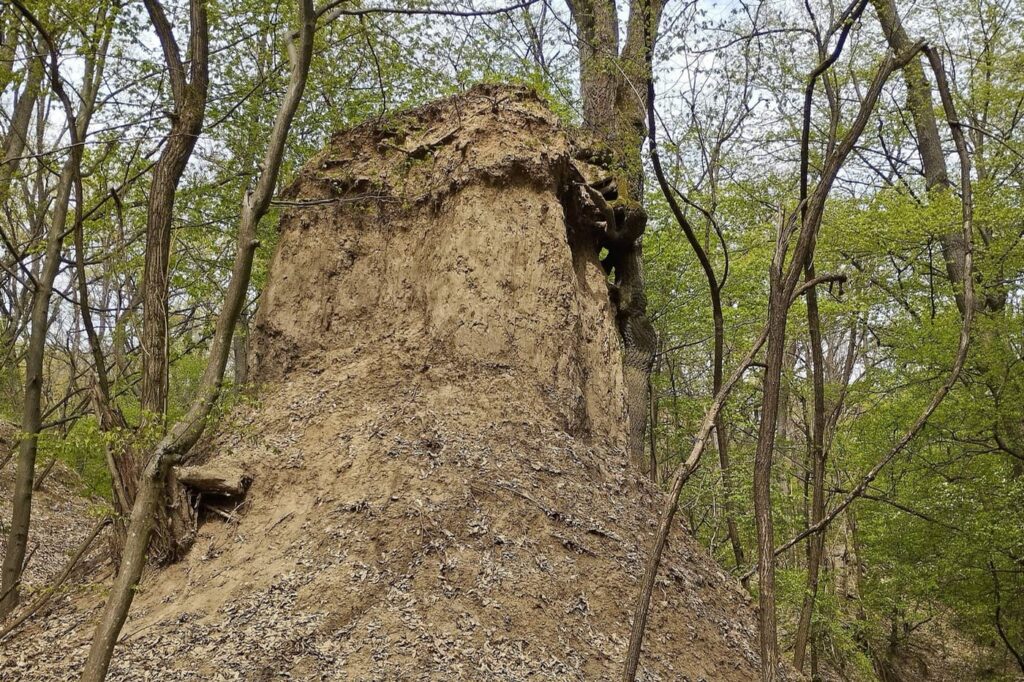 Kazári riolittufa: különös felszín Kazár határában
