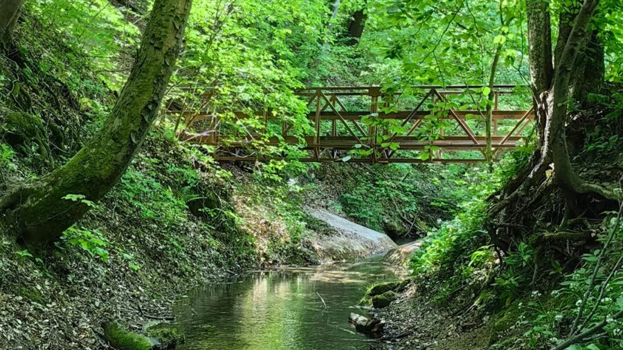 Vízfő tanösvény – forrásbarlang, malomárok és láperdő Orfűn