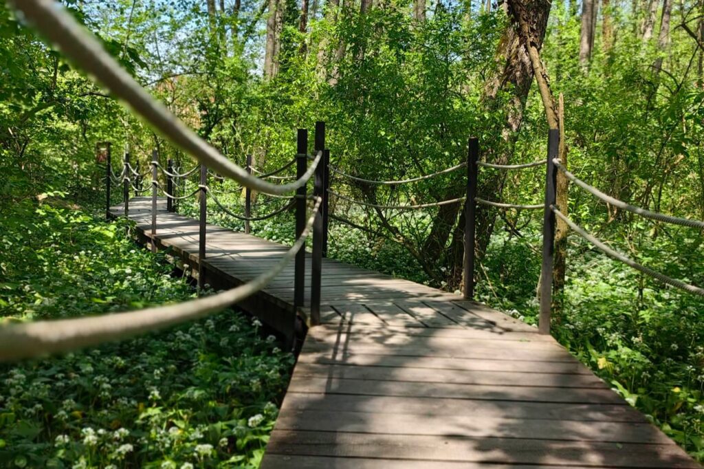 Vízfő tanösvény – forrásbarlang, malomárok és láperdő Orfűn
