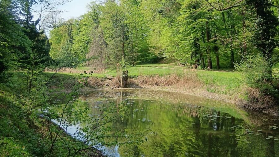 Csácsbozsoki Arborétum – Zalaegerszeg zöld kincse
