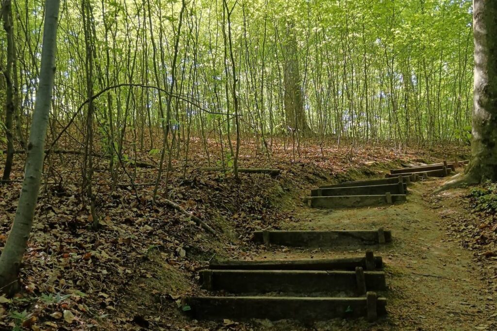 Csácsbozsoki Arborétum – Zalaegerszeg zöld kincse