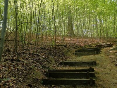 Csácsbozsoki Arborétum – Zalaegerszeg zöld kincse