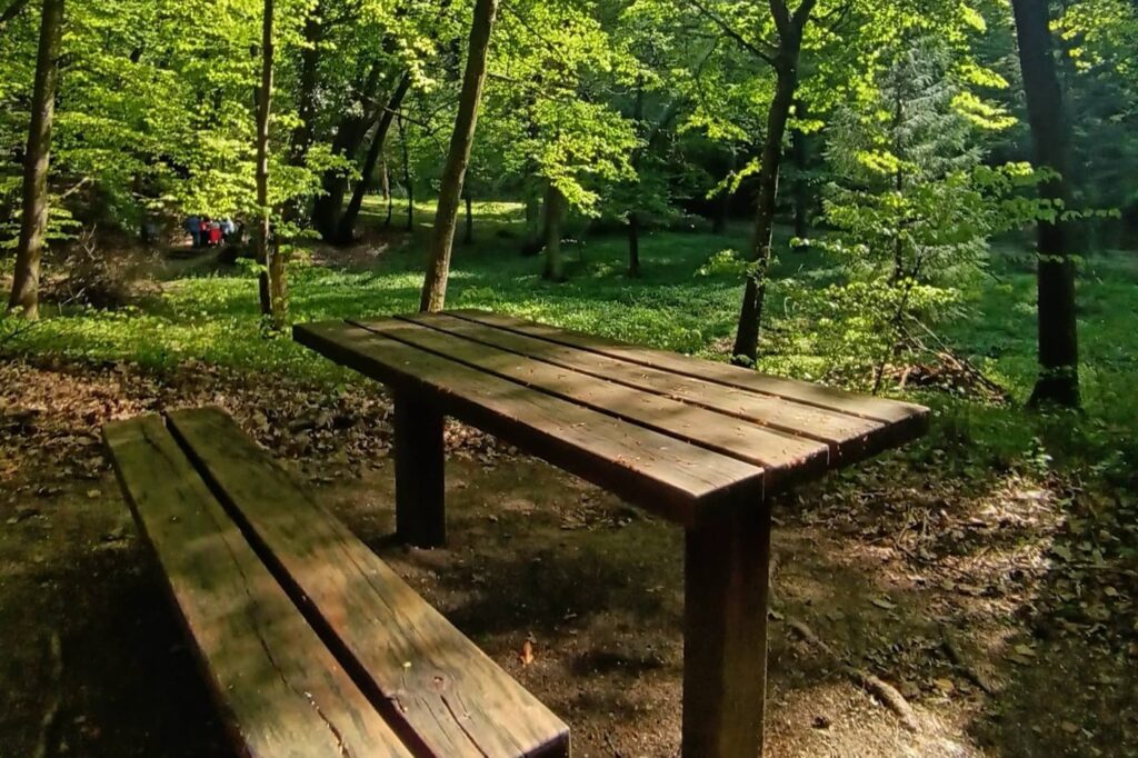 Csácsbozsoki Arborétum – Zalaegerszeg zöld kincse