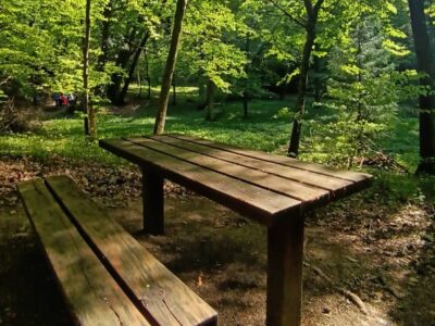 Csácsbozsoki Arborétum – Zalaegerszeg zöld kincse