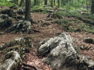 Gyógyító kövek és hegyi nyugalom Bükkszentkereszten