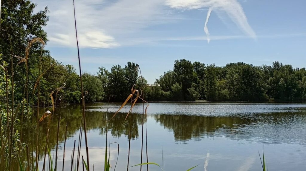 Egy régi Duna-kanyarulat emlékét őrzi a dunaszegi Morotva-tó