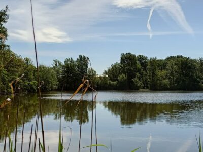 Egy régi Duna-kanyarulat emlékét őrzi a dunaszegi Morotva-tó