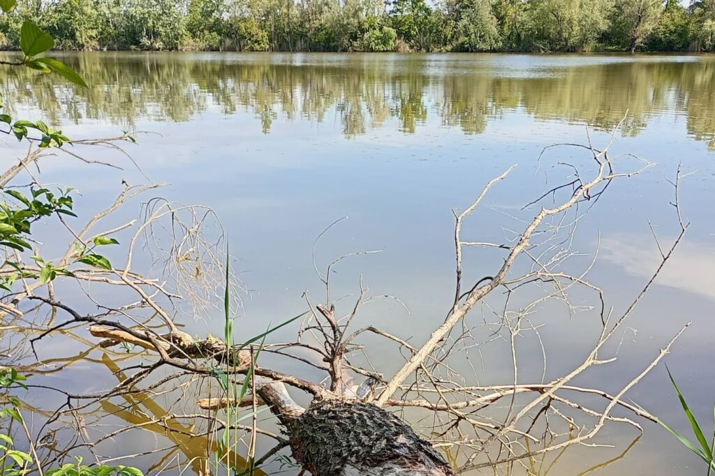 Egy régi Duna-kanyarulat emlékét őrzi a dunaszegi Morotva-tó