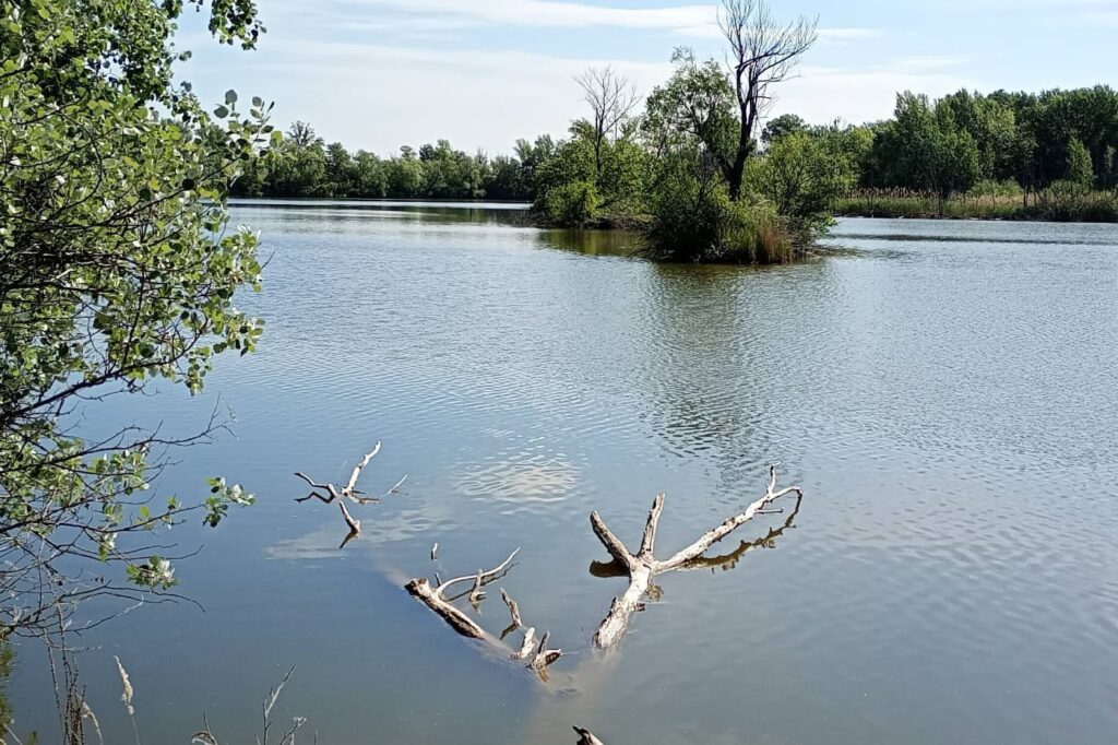 Egy régi Duna-kanyarulat emlékét őrzi a dunaszegi Morotva-tó