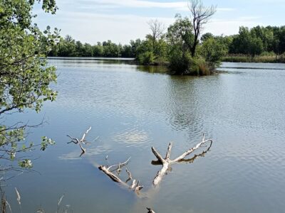 Egy régi Duna-kanyarulat emlékét őrzi a dunaszegi Morotva-tó