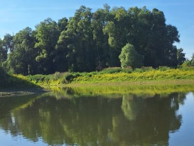 Erebe-szigetek: a Duna kevéssé ismert szigetvilága