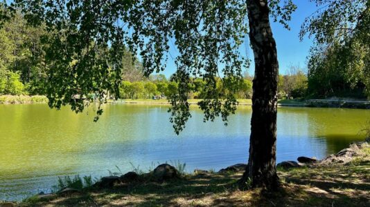 Dombay-tó – erdei hangulatú pihenőhely Pécsvárad közelében