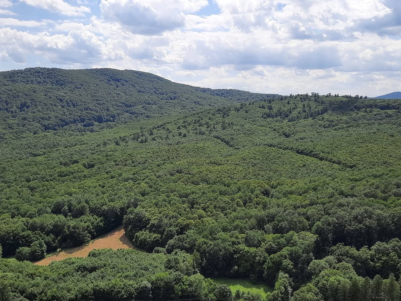 A királyréti Várhegy-kilátó a Börzsöny egyik kedvelt panorámapontja
